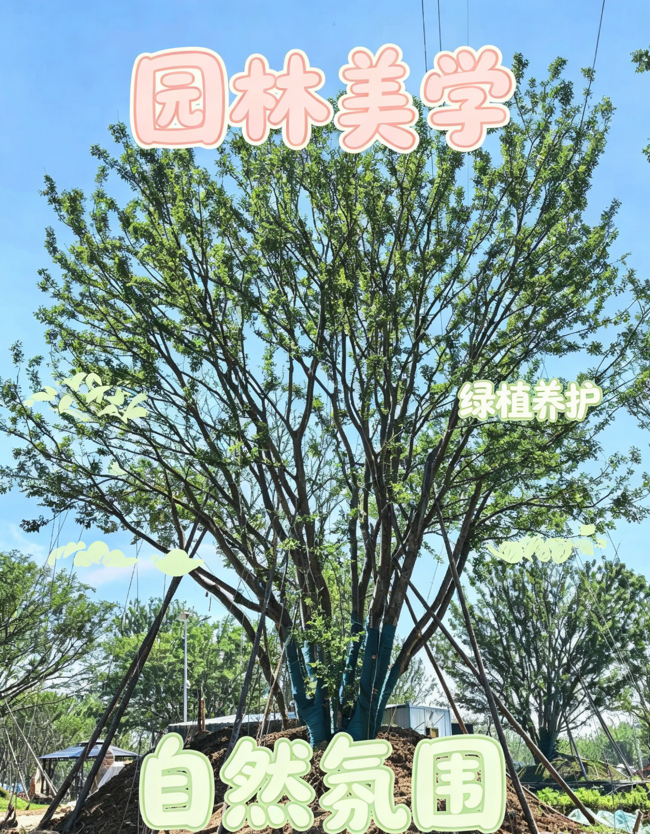 微信图片_20260602182709284_3.jpg