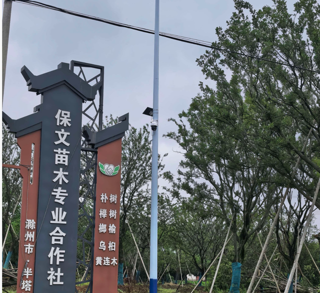 门头.png